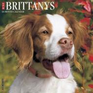 Brittanys Calendar edito da Willow Creek Press