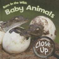 Born in the Wild: Baby Animals di Rick Raymos edito da Rourke Educational Media