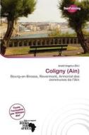 Coligny (ain) edito da Duct Publishing