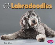 You'll Love Labradoodles di Erin Edison edito da CAPSTONE PR