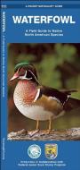 Waterfowl: A Field Guide to Native North American Species di James Kavanagh edito da Waterford Press