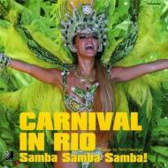 Carnival in Rio: Samba Samba Samba: Samba Samba Samba di Terry George edito da Earbooks