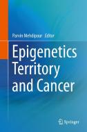 Epigenetics Territory and Cancer edito da Springer Netherlands
