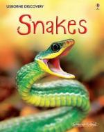 Snakes di Rachel Firth edito da Usborne Publishing Ltd