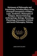 Dictionary of Philosophy and Psychology; Including Many of the Principal Conceptions of Ethics, Logic, Aesthetics, Philo di James Mark Baldwin edito da CHIZINE PUBN