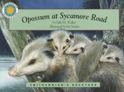 Opossum at Sycamore Road di Sally M. Walker edito da Soundprints