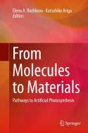 From Molecules To Materials edito da Springer International Publishing Ag