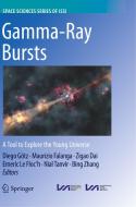 Gamma-Ray Bursts edito da Springer
