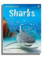 Sharks di Jonathan Shiekh-Miller edito da Usborne Publishing Ltd