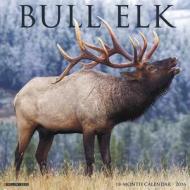 Bull Elk Calendar edito da Willow Creek Press