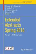 Extended Abstracts Spring 2016 edito da Springer International Publishing