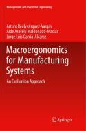 Macroergonomics for Manufacturing Systems di Jorge Luis García-Alcaraz, Aide Aracely Maldonado-Macias, Arturo Realyvásquez Vargas edito da Springer International Publishing