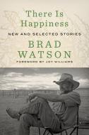 There Is Happiness: New and Selected Stories di Brad Watson edito da W W NORTON & CO