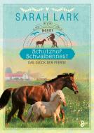 Schutzhof Schwalbennest di Sarah Lark edito da Boje Verlag