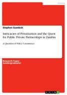 Intricacies of Privatization and the Quest for Public Private Partnerships in Zambia di Stephen Gumboh edito da GRIN Publishing