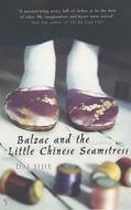Balzac and the Little Chinese Seamstress di Dai Sijie edito da Vintage Publishing