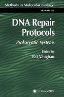 DNA Repair Protocols di Patrick Vaughan edito da Humana Press