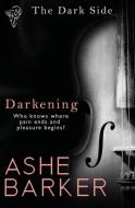 The Dark Side: Darkening di Ashe Barker edito da TOTAL E BOUND PUB