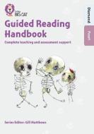 Guided Reading Handbook Diamond To Pearl di Stephanie Austwick, Kevin Jeffery, Rachel Clarke, Gill Matthews edito da Harpercollins Publishers