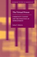 The Virtual Prison di Julian V. (University of Ottawa) Roberts edito da Cambridge University Press