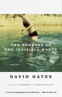 The Wonders of the Invisible World di David Gates edito da VINTAGE