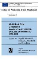 Multiblock Grid Generation edito da Vieweg+Teubner Verlag