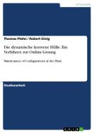 Die dynamische konvexe Hülle. Ein Verfahren zur Online-Lösung di Thomas Plehn, Robert Einig edito da GRIN Verlag