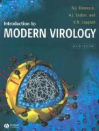 Introduction To Modern Virology di Nigel Dimmock, Andrew Easton, Keith Leppard edito da John Wiley And Sons Ltd