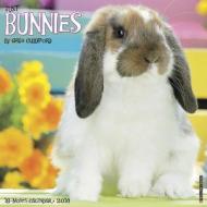 Bunnies Calendar edito da Willow Creek Press