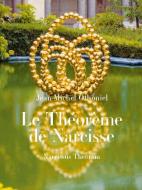 Le Theoreme De Narcisse di Jean-Michel Othoniel, Christophe Leribault edito da Actes Sud