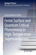 Fermi Surface and Quantum Critical Phenomena of High-Temperature Superconductors di Carsten Matthias Putzke edito da Springer International Publishing