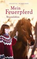 Mein Feuerpferd - Sturmfohlen di Chantal Schreiber edito da cbj