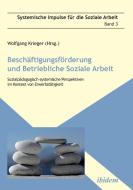Beschäftigungsförderung und betriebliche Soziale Arbeit di Peter Weber, Kristina Fanelli edito da Ibidem-Verlag