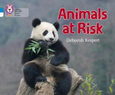 Animals at Risk di Deborah Kespert edito da HarperCollins Publishers