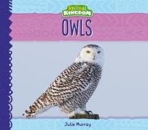 Owls di Julie Murray edito da BIG BUDDY BOOKS