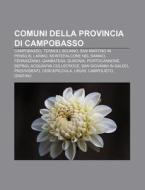 Comuni Della Provincia Di Campobasso: Ca di Fonte Wikipedia edito da Books LLC, Wiki Series