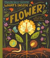 What's Inside a Flower?: And Other Questions about Science & Nature di Rachel Ignotofsky edito da DRAGONFLY BOOKS