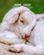 2019 - 2020 18 Month Weekly & Monthly Planner July 2019 to December 2020: Goat Baby Animal Vol 15 Monthly Calendar with  di Dazzle Book Press edito da INDEPENDENTLY PUBLISHED