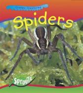 Spiders di Monica Hughes edito da Raintree