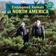 Endangered Animals of North America di Marie Allgor edito da PowerKids Press