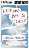 Why Are You So Sad? di Jason Porter edito da Brilliance Audio