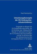 Umsetzungskonzepte der EG-Verbraucherschutzrichtlinien di Pavel Ravlusevicius edito da Lang, Peter GmbH
