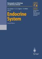 Endocrine System edito da Springer Berlin Heidelberg