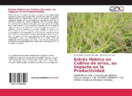 Estrés Hídrico en Cultivo de arroz, su Impacto en la Productividad di María Dolores Montes Recalde, Eduardo Jarrín Ruíz edito da EAE
