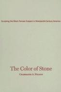 The Color Of Stone di Dr. Charmaine A. Nelson edito da University Of Minnesota Press