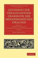 Grundriss Der Vergleichenden Grammatik Der Indogermanischen Sprachen di Karl Brugmann, Brugmann Karl edito da Cambridge University Press