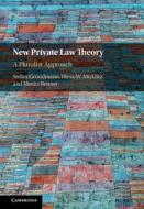 New Private Law Theory di Stefan Grundmann, Hans Micklitz, Moritz Renner edito da Cambridge University Press
