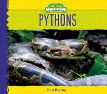 Pythons di Julie Murray edito da BIG BUDDY BOOKS