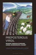 The Reception Of Virgil di Juan Christian Pellicer edito da I.b.tauris & Co. Ltd.