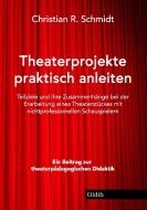 Theaterprojekte anleiten di Christian R. Schmidt edito da Oldib Verlag